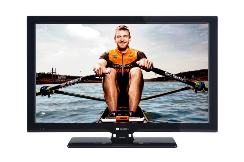 LCD monitor GOGEN TVF 22P202T